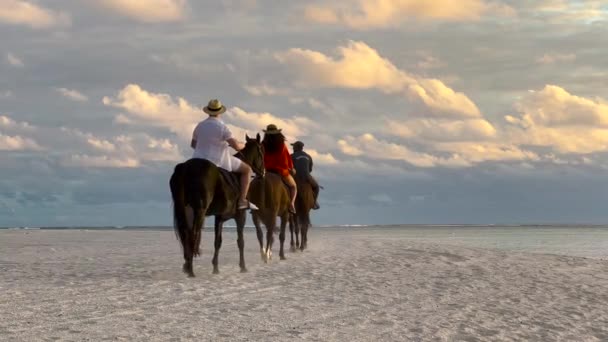 Ridning på en tropisk strand längs havskusten. Hästryttare rör sig mot bakgrund av turkost vatten och solnedgång — Stockvideo