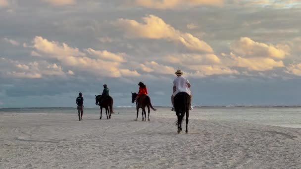 海沿いの熱帯のビーチに乗っています。乗馬はターコイズブルーの水と日没を背景に移動します。 — ストック動画