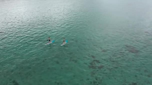 Surfistas casal na prancha de surf, homem e mulher nadadores relaxando em pranchas de surf azul vista superior. Tiro de drone profissional de pessoas em pranchas de comida no Oceano Índico. Maurício — Vídeo de Stock