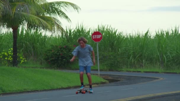 Aerial view of the road with palm trees. Boy riding a skateboard on a beautiful road. Teenager skateboarding on city streets — ストック動画