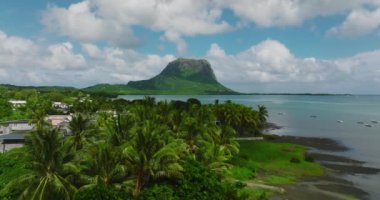 Mauritius 'ta tropik bir sahil. Palmiye ağaçları ve mavi şeffaf okyanusla dolu bir sahil. Hava görünümü