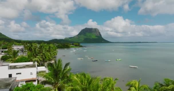 Niesamowita przyroda, wyspa Mauritius. Widok z lotu ptaka — Wideo stockowe
