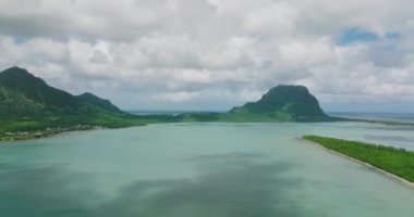 Mauritius 'ta tropik bir sahil. Palmiye ağaçları ve mavi şeffaf okyanusla dolu bir sahil. Hava görünümü