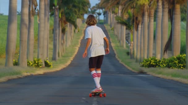 A teenager with long hair rides a skateboard along a beautiful road with palm trees. Los Angeles. Boy longboarder riding her long board down the mountain in beautiful scenic nature on road — Stock Video
