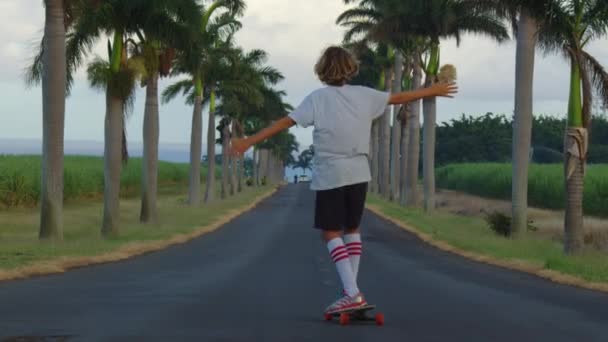 一个长发的少年骑着滑板沿着一条漂亮的路走着，上面有棕榈树。洛杉矶。男孩长椅骑她的长板下山在美丽的风景自然的道路上 — 图库视频影像