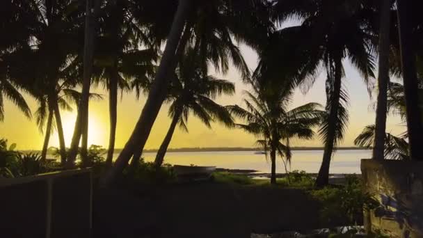 Гладкое движение камеры. Вид на океан, силуэт пальм. Прекрасный закат. Поездка на морской пляж Paradise. — стоковое видео