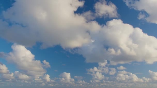 Cielo Azul Nubes Blancas Nubes Blancas Esponjosas Hinchadas Nube Cúmulo — Vídeo de stock
