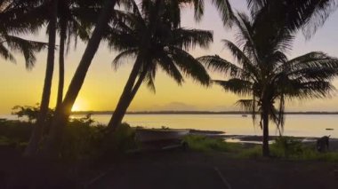 Gün batımı. Cennet adası manzarasında tropik bir tatil yeri. Palmiyeli güzel Karayip Palm Beach 'i. Karayip Denizi kıyısında bir otel. Dominik Cumhuriyeti 'ne git. Yüksek kalite 4k görüntü