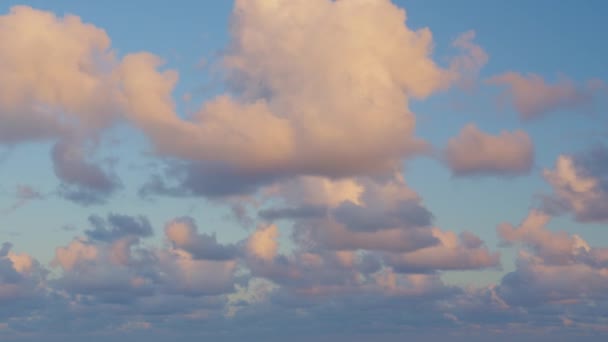 Blauer Himmel Weiße Wolken Geschwollene Flauschige Weiße Wolken Cumuluswolken Zeitraffer — Stockvideo