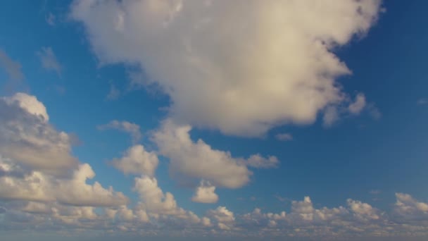 Blauwe Lucht Witte Wolken Gezwollen Pluizige Witte Wolken Cumulus Wolk — Stockvideo
