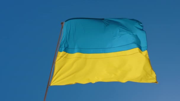 Grandes Banderas Ucrania Ondean Ciudad Francesa Orleans Hay Muchas Banderas — Vídeos de Stock