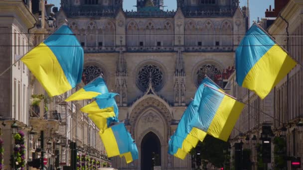 Large Flags Ukraine Flying French City Orleans Many Flags Ukraine — 비디오