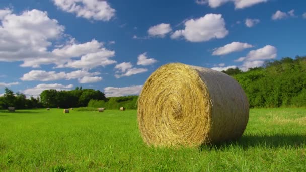 Straw Stacks Stacked Bales Hay Left Harvesting Crops Field Agricultural — Stock videók