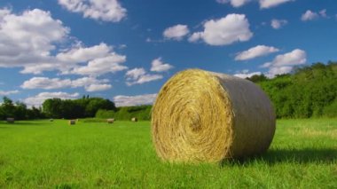 Hasat edilen mahsullerden arta kalan saman yığınları, hasat edilen ekinlerle dolu bir tarım çiftliği. Arka planda bulutlu gökyüzüne karşı saman balyalarının manzarası. 4k görüntü