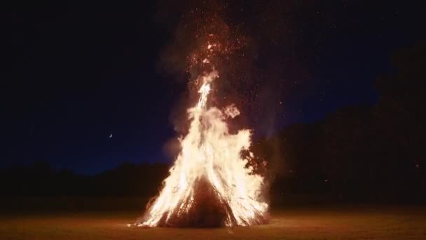 Close Flames Fire Night Big Bonfire Logs Fire Sparks Fly — Wideo stockowe