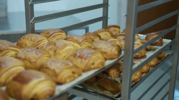 Puff Pastry Croissants Puffs Food Industry Confectionery Bakery Knead Roll — Stock video