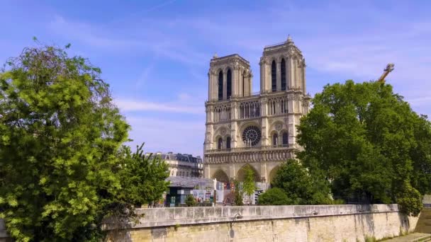 Paris France July 2022 Notre Dame Paris Cathedral Construction Renovation — 비디오