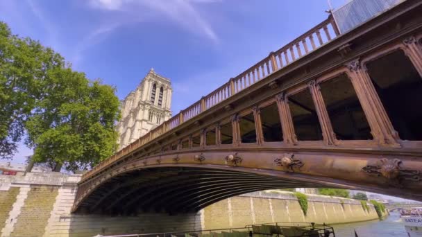 Paris France July 2022 Notre Dame Paris Cathedral Construction Renovation — Vídeos de Stock