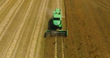 Dünyadaki gıda krizi. Sahada birleşiyor. Hasat makinesinin havadan görünüşü. Ekin toplama mevsimi. Çavdar ve arpa. Dünya gıda kıtlığı. Yüksek kalite 4k görüntü