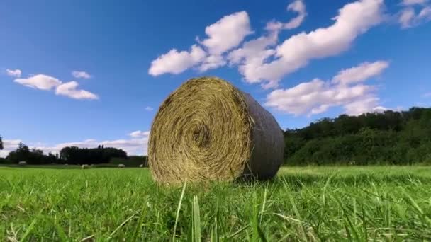 Straw Stacks Stacked Bales Hay Left Harvesting Crops Field Agricultural — Vídeo de Stock