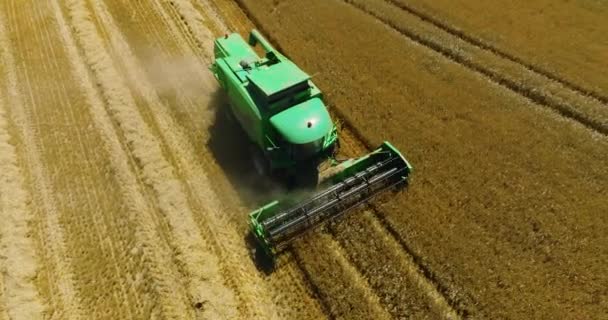 Food Crisis World Combines Field Aerial View Harvester Season Gathering — Αρχείο Βίντεο