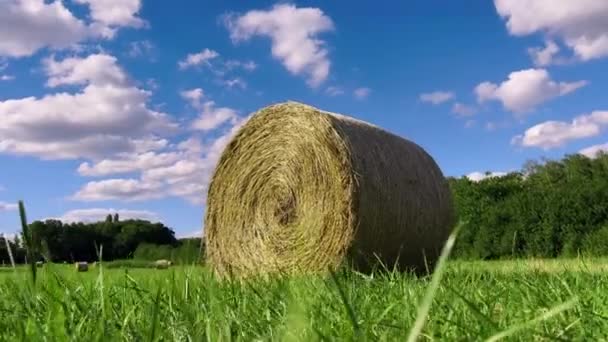 Straw Stacks Stacked Bales Hay Left Harvesting Crops Field Agricultural — 图库视频影像
