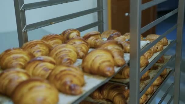Puff Pastry Croissants Puffs Food Industry Confectionery Bakery Knead Roll — Stock video