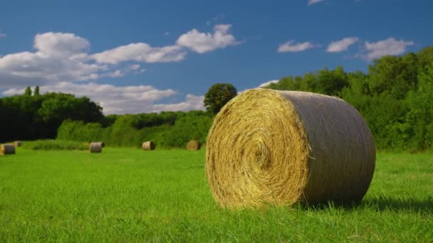 Straw Stacks Stacked Bales Hay Left Harvesting Crops Field Agricultural — Video Stock
