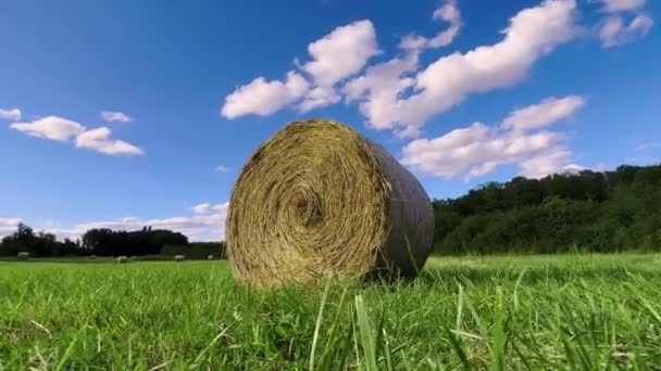 Straw Stacks Stacked Bales Hay Left Harvesting Crops Field Agricultural — Stock videók