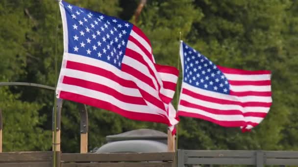 American Flag Waving Wind High Quality Footage — Wideo stockowe