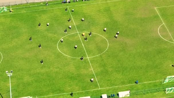 Flygfoto Ovanifrån Fotbollsplan Två Professionella Lag Spelar Energispel Mitt Fältet — Stockvideo