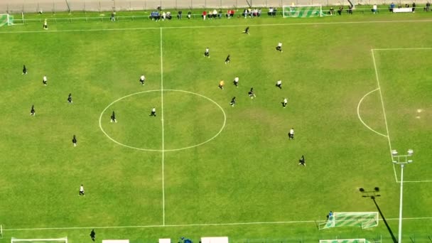 Αεροφωτογραφία Από Πάνω Προς Κάτω Του Γηπέδου Ποδοσφαίρου Δύο Επαγγελματικές — Αρχείο Βίντεο