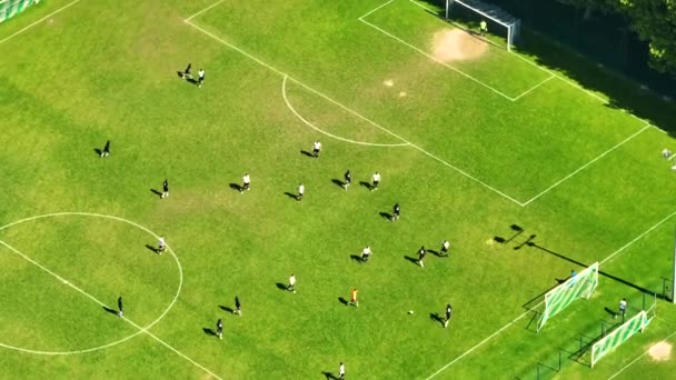サッカー場2つのプロチームの空中トップダウンビューを再生します フィールドの真ん中で精力的なゲーム 女子サッカー 国際選手権で重要な試合 美しい空撮 — ストック動画