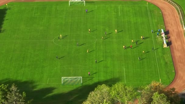 Jogo Campeonato Futebol Estádio Equipes Jogam Torneio Futebol Liga Principal — Vídeo de Stock