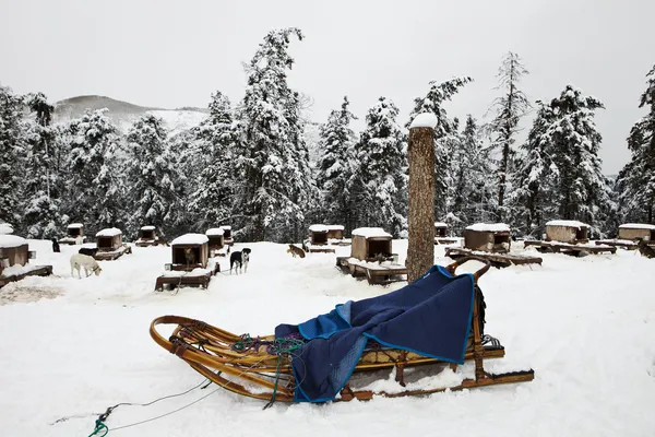 Sled With Dog Kennels — Stock Photo, Image