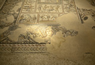 Roma dionysius mozaiği