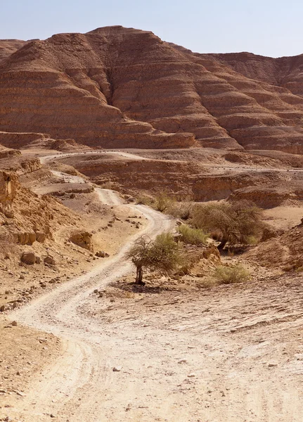 Cesta přes kopce pouště negev — Stock fotografie