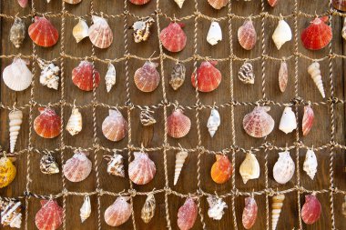Wall Tapestry of Sea Shells clipart