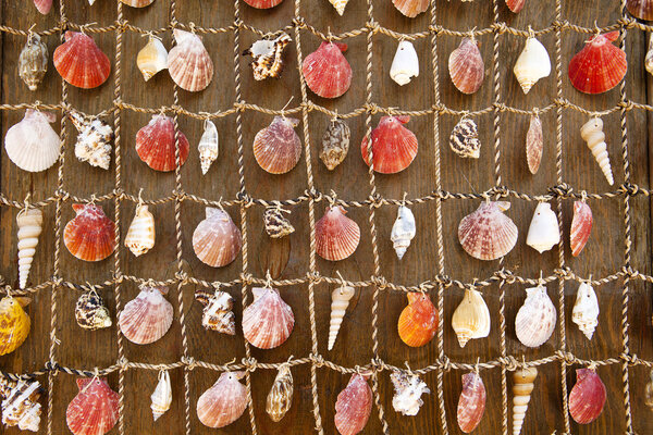 Wall Tapestry of Sea Shells