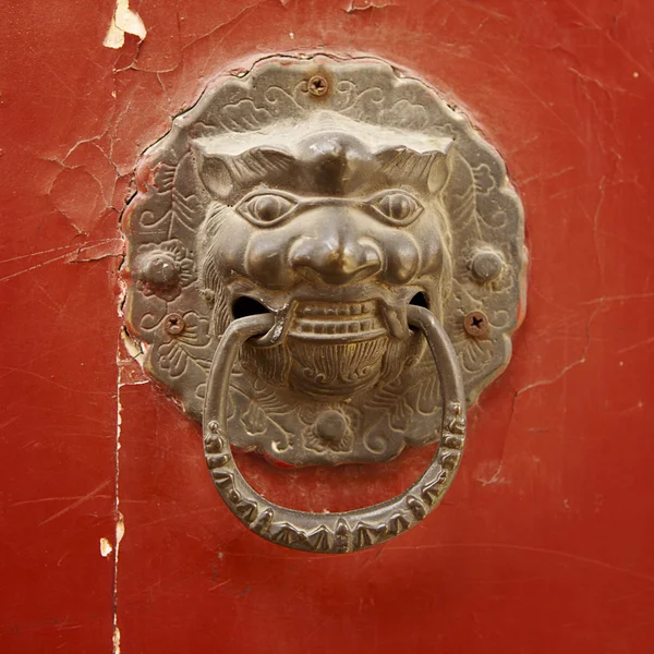 Chinese Lion With Ring — Stock Photo, Image