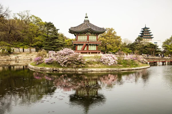 Island Of The Far-Reaching Fragrance — Stock Photo, Image