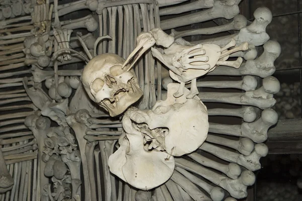 Spooky skelett salut — Stockfoto