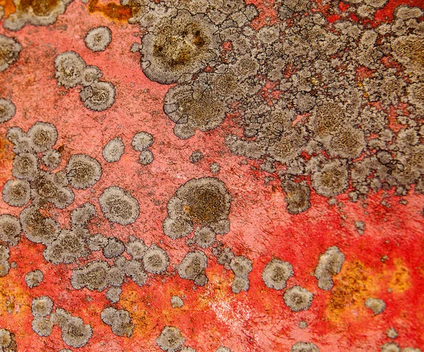 Rust Spot Background — Stock Photo, Image