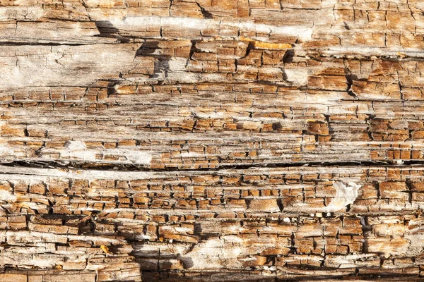 Tlejícího dřeva zblízka — Stock fotografie
