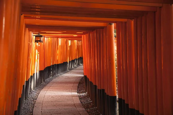 Chemin à travers les portes de Torii — Photo