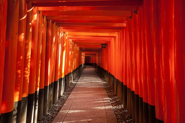 Gehweg zwischen Torii-Toren — Stockfoto