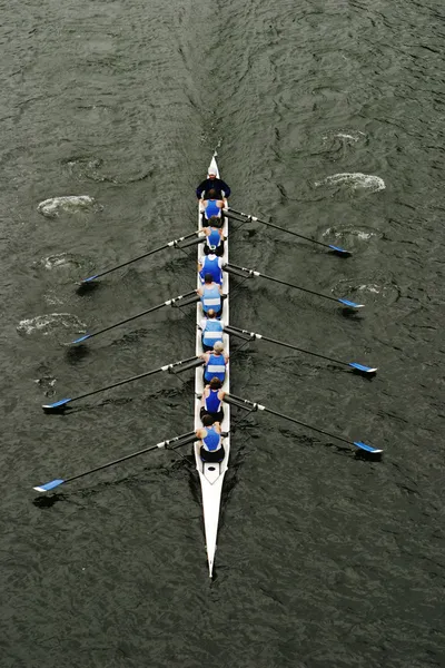 Rowing In Crew Races — Stock Photo, Image