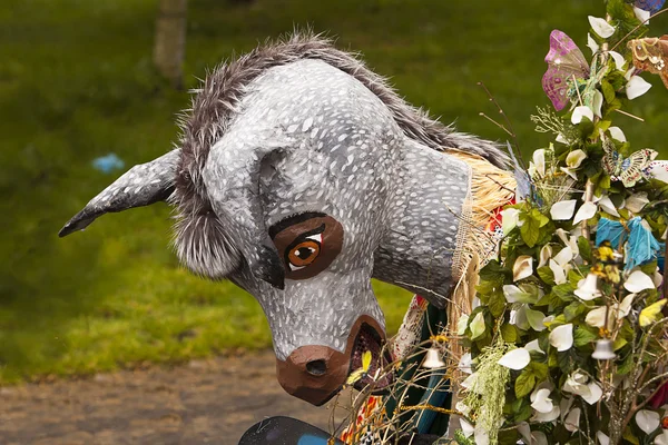 Costume d'âne en parade — Photo
