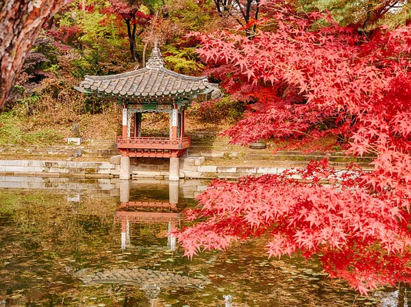 秋天枫树的红叶筑起了首尔池塘边的一座小别墅 — 图库照片