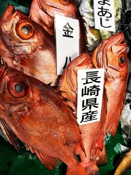 Présentoir Vivaneau Rouge Frais Vendre Marché Aux Poissons Kanazawa Japon — Photo